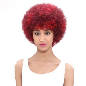 Human Hair Wig Classic Afro Kinky Curly Wave RC0520
