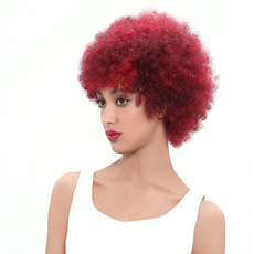Human Hair Wig Classic Afro Kinky Curly Wave RC0520