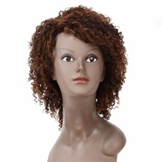 Human Hair Special Curly Wig For Women RC0747