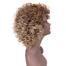 Ombre Synthetic Hair Wig Afro Kinky Curly Wig 10 Inch RC0607