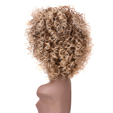 Ombre Synthetic Hair Wig Afro Kinky Curly Wig 10 Inch RC0607