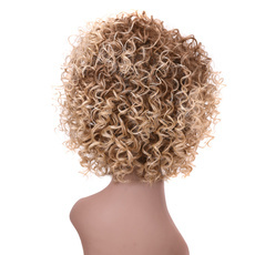 Ombre Synthetic Hair Wig Afro Kinky Curly Wig 10 Inch RC0607