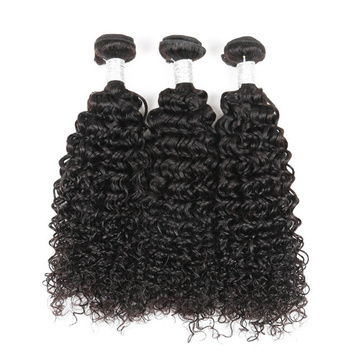 Rebecca 3Pcs/Lot Curly Brazilian Virgin Human Hair Weft/Weaves R5