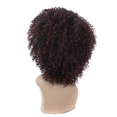 Rebecca Synthetic Hair Kinky Curly Wig Short Afro Kinky 14 Inch