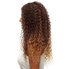 Synthetic Hair Kinky Curly Natural Long Wig For Women RC0634