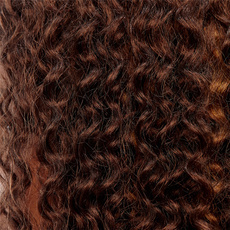 Synthetic Hair Kinky Curly Natural Long Wig For Women RC0634