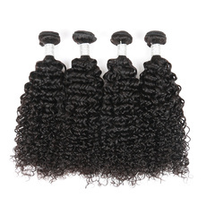 Rebecca 4Pcs/Lot Curly Brazilian Virgin Human Hair Weft/Weaves R5
