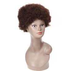Human Hair Wig Classic Afro Kinky Curly Wave RC0520