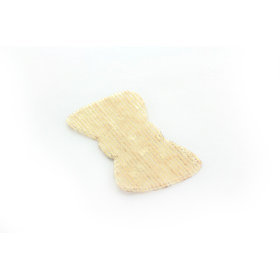 FHS013